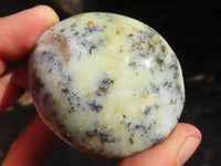 Polished Dendritic Opal Palm Stones  x 12 From Madagascar - Toprock Gemstones and Minerals 