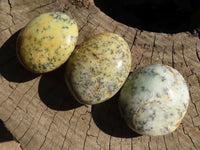 Polished Dendritic Opal Palm Stones  x 12 From Madagascar - Toprock Gemstones and Minerals 