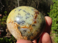 Polished Dendritic Opal Palm Stones  x 12 From Madagascar - Toprock Gemstones and Minerals 