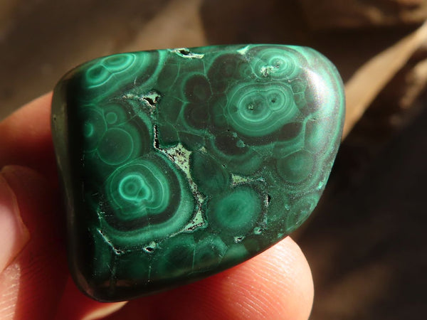 Polished  Small Flower Malachite Free Forms  x 20 From Congo