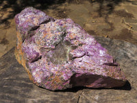 Natural Extra Large Rough Stichtite & Serpentine Specimens  x 2 From Barberton, South Africa - TopRock