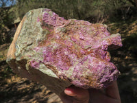 Natural Extra Large Rough Stichtite & Serpentine Specimens  x 2 From Barberton, South Africa - TopRock