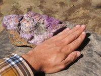 Natural Extra Large Rough Stichtite & Serpentine Specimens  x 2 From Barberton, South Africa - TopRock