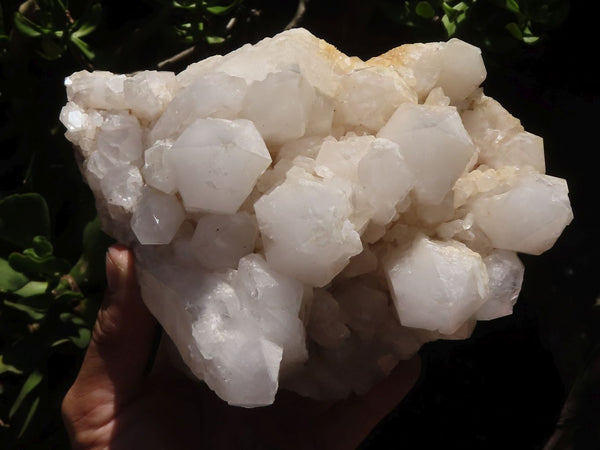 Natural Large White Phantom Quartz Cluster  x 1 From Madagascar - TopRock