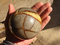 Polished Septerye Sphere x 1 From Mahajanga, Madagascar