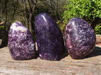 Polished Deep Purple Lepidolite Standing Free Forms  x 3 From Zimbabwe - Toprock Gemstones and Minerals 