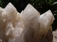 Natural Large White Phantom Quartz Cluster  x 1 From Madagascar - TopRock