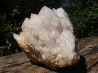 Natural Large White Phantom Quartz Cluster  x 1 From Madagascar - TopRock