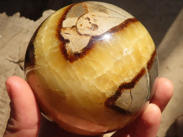 Polished Septerye Sphere x 1 From Mahajanga, Madagascar