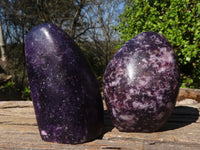 Polished Deep Purple Lepidolite Standing Free Forms  x 3 From Zimbabwe - Toprock Gemstones and Minerals 