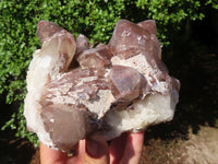 Natural Red Hematite Quartz Clusters  x 2 From Karoi, Zimbabwe - Toprock Gemstones and Minerals 