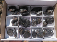 Natural Black Tourmaline Schorl Pieces  x 23 From Zambia - TopRock