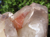 Natural Red Hematite Quartz Clusters  x 2 From Karoi, Zimbabwe - Toprock Gemstones and Minerals 