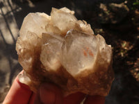 Natural Cascading White Phantom Smokey Quartz Clusters x 6 From Luena, Congo