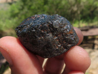 Natural Black Tourmaline Schorl Pieces  x 23 From Zambia - TopRock