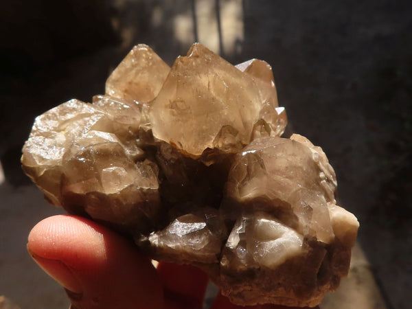 Natural Cascading White Phantom Smokey Quartz Clusters x 6 From Luena, Congo