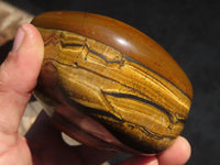 Polished Golden Tigers Eye Free Forms x 2 From Prieska, Northern Cape