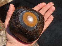 Polished Golden Tigers Eye Free Forms x 2 From Prieska, Northern Cape