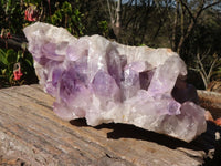 Natural Extra Large Jacaranda Specimen  x 1 From Zambia - Toprock Gemstones and Minerals 