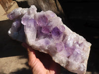 Natural Extra Large Jacaranda Specimen  x 1 From Zambia - Toprock Gemstones and Minerals 