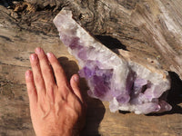 Natural Extra Large Jacaranda Specimen  x 1 From Zambia - Toprock Gemstones and Minerals 