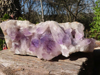 Natural Extra Large Jacaranda Specimen  x 1 From Zambia - Toprock Gemstones and Minerals 