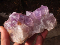 Natural Jacaranda Amethyst Clusters x 2 From Zambia