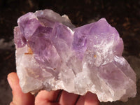 Natural Jacaranda Amethyst Clusters x 2 From Zambia