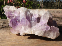 Natural Extra Large Jacaranda Specimen  x 1 From Zambia - Toprock Gemstones and Minerals 