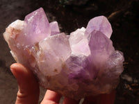 Natural Jacaranda Amethyst Clusters x 2 From Zambia