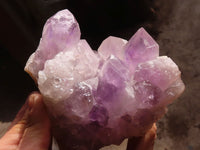 Natural Jacaranda Amethyst Clusters x 2 From Zambia