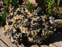 Natural Extra Large Schorl Black Tourmaline Specimen With Vermiculite  x 1 From Erongo, Namibia - Toprock Gemstones and Minerals 