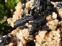 Natural Extra Large Schorl Black Tourmaline Specimen With Vermiculite  x 1 From Erongo, Namibia - Toprock Gemstones and Minerals 