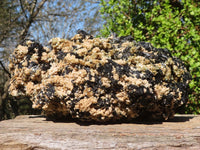 Natural Extra Large Schorl Black Tourmaline Specimen With Vermiculite  x 1 From Erongo, Namibia - Toprock Gemstones and Minerals 