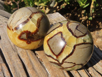 Polished Septaria Spheres x 2 From Madagascar