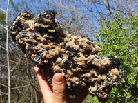 Natural Extra Large Schorl Black Tourmaline Specimen With Vermiculite  x 1 From Erongo, Namibia - Toprock Gemstones and Minerals 