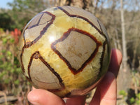 Polished Septaria Spheres x 2 From Madagascar