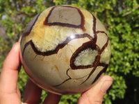 Polished Septaria Spheres x 2 From Madagascar