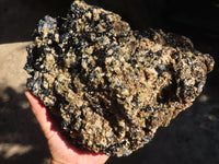 Natural Extra Large Schorl Black Tourmaline Specimen With Vermiculite  x 1 From Erongo, Namibia - Toprock Gemstones and Minerals 