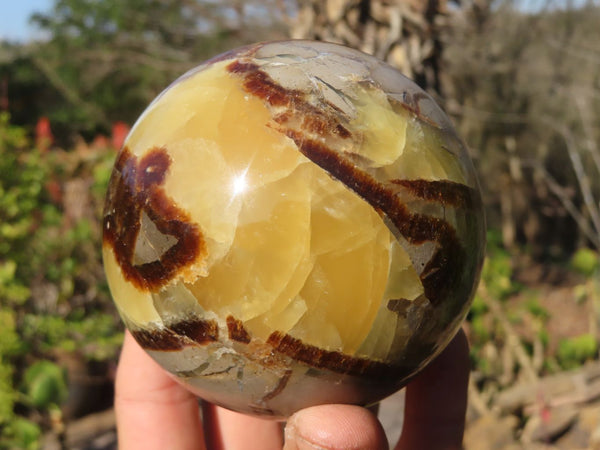 Polished Septaria Spheres x 2 From Madagascar