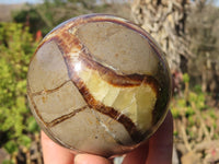 Polished Septaria Spheres x 2 From Madagascar