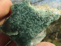 Polished Mtorolite Emerald Chrome Chrysoprase Plates x 24 From Mutorashanga, Zimbabwe - TopRock