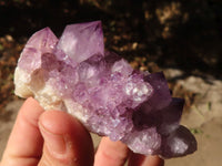 Natural Spirit Amethyst Quartz Specimens x 58 From Boekenhouthoek, South Africa