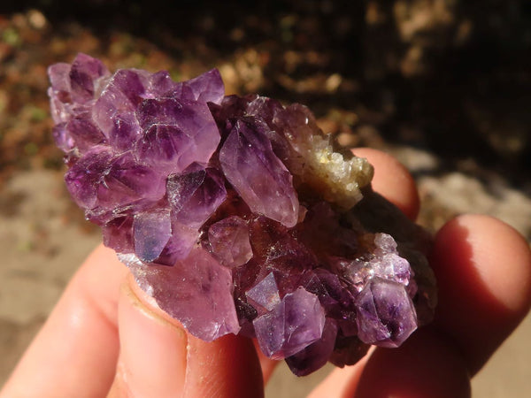 Natural Spirit Amethyst Quartz Specimens x 58 From Boekenhouthoek, South Africa