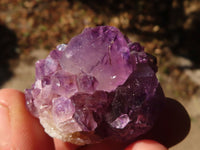 Natural Spirit Amethyst Quartz Specimens x 58 From Boekenhouthoek, South Africa