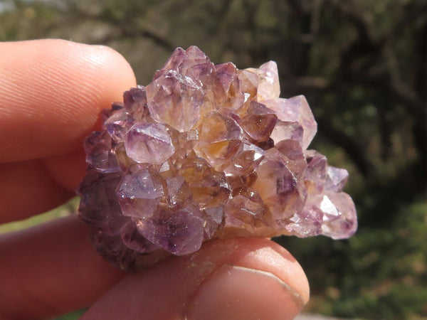 Natural Mixed Selection Of Single Spirit Quartz Crystals  x 63 From Boekenhouthoek, South Africa - TopRock