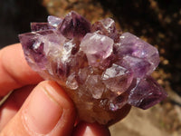 Natural Spirit Amethyst Quartz Specimens x 58 From Boekenhouthoek, South Africa