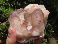 Natural Red Hematoid Quartz Specimens x 2 From Karoi, Zimbabwe - TopRock