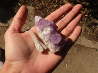 Natural Spirit Amethyst Quartz Specimens x 58 From Boekenhouthoek, South Africa