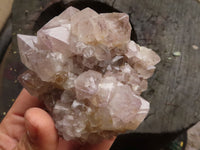 Natural Mixed Large Spirit Quartz Clusters  x 6 From Boekenhouthoek, South Africa - TopRock